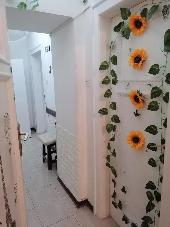 Low Cost Apartment Belgrad Exteriör bild