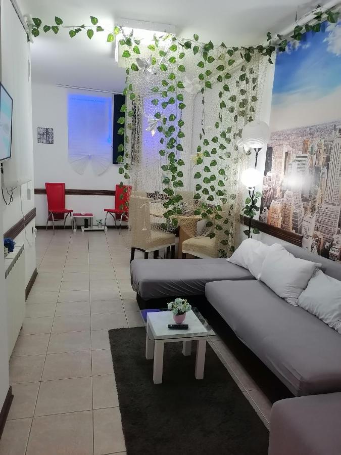 Low Cost Apartment Belgrad Exteriör bild
